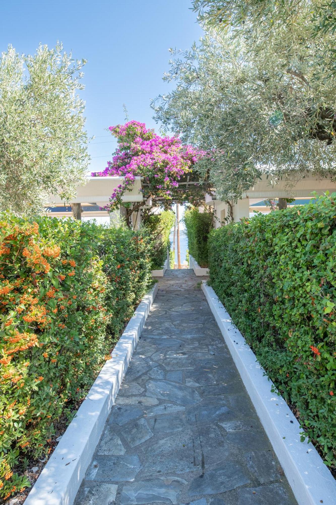 Elea Villas Steni Vala Alonissos Bagian luar foto