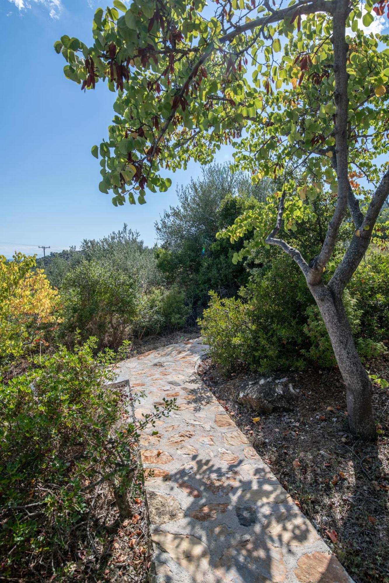Elea Villas Steni Vala Alonissos Bagian luar foto