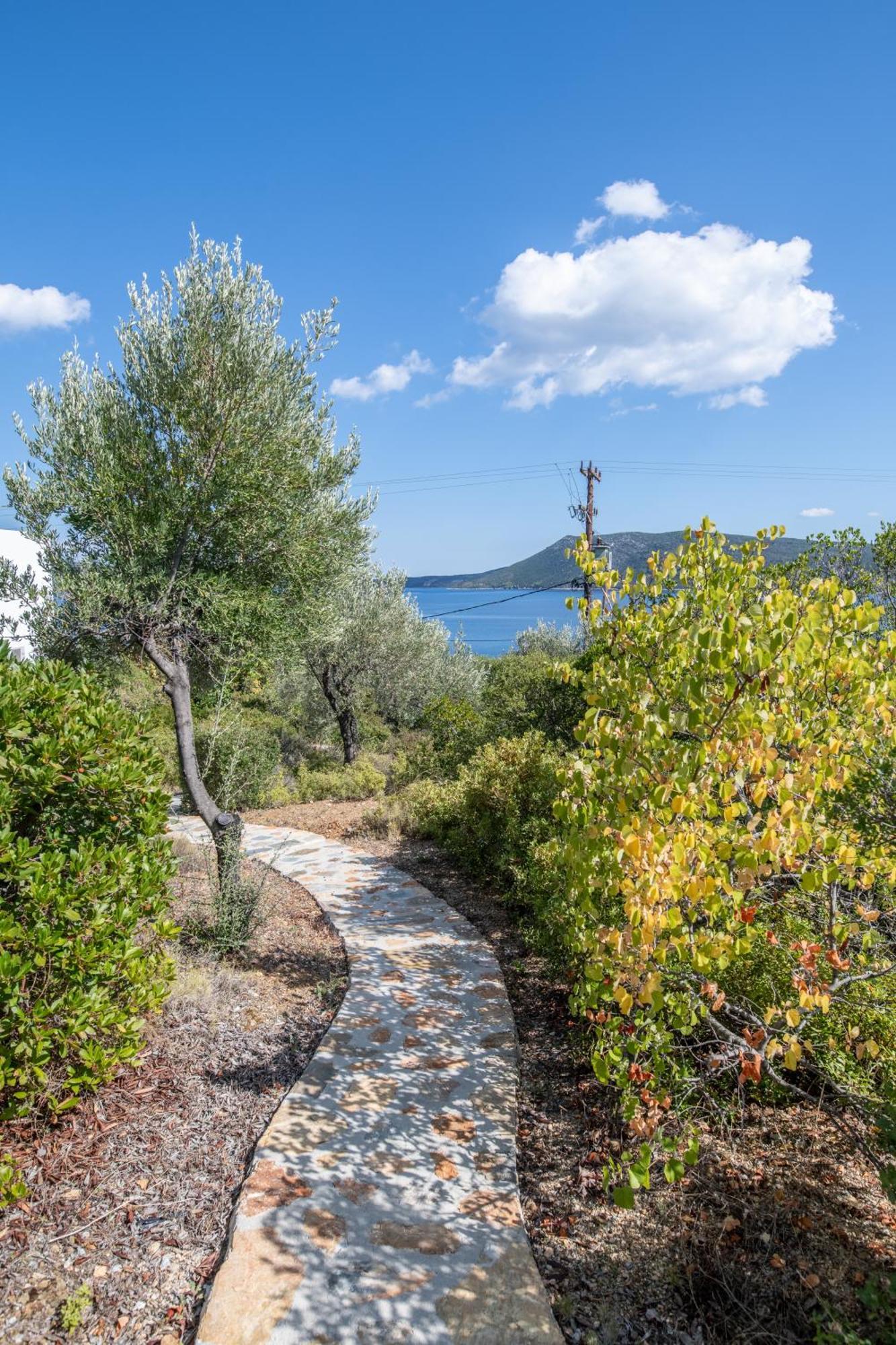 Elea Villas Steni Vala Alonissos Bagian luar foto